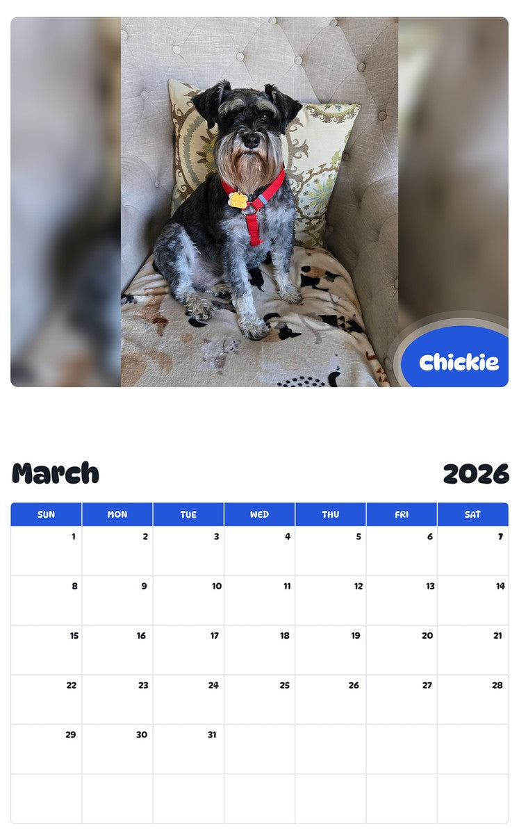 November 2025 - October 2026 Chickie - Pawidols Pet Calendar