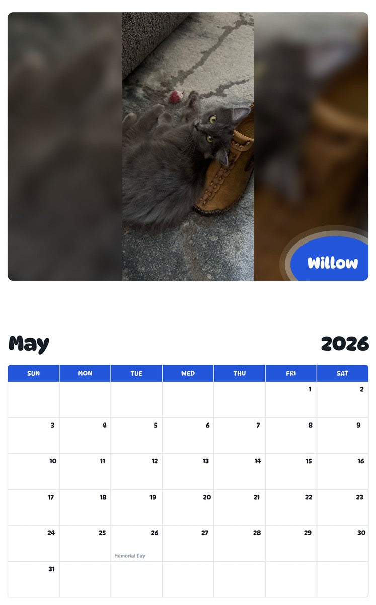 2026 - 2027 Willow - Pawidols Pet Calendar