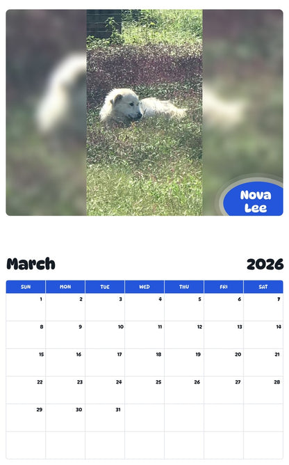 November 2025 - October 2026 Nova Lee - Pawidols Pet Calendar
