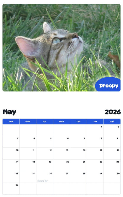 2026 - 2027 Droopy - Pawidols Pet Calendar