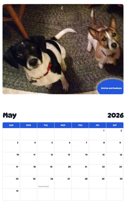 2026 - 2027 Brutus and Buckeye - Pawidols Pet Calendar