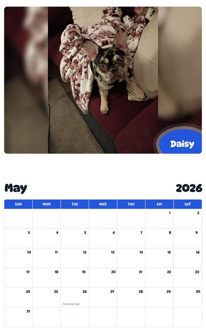 2026 - 2027 Daisy - Pawidols Pet Calendar