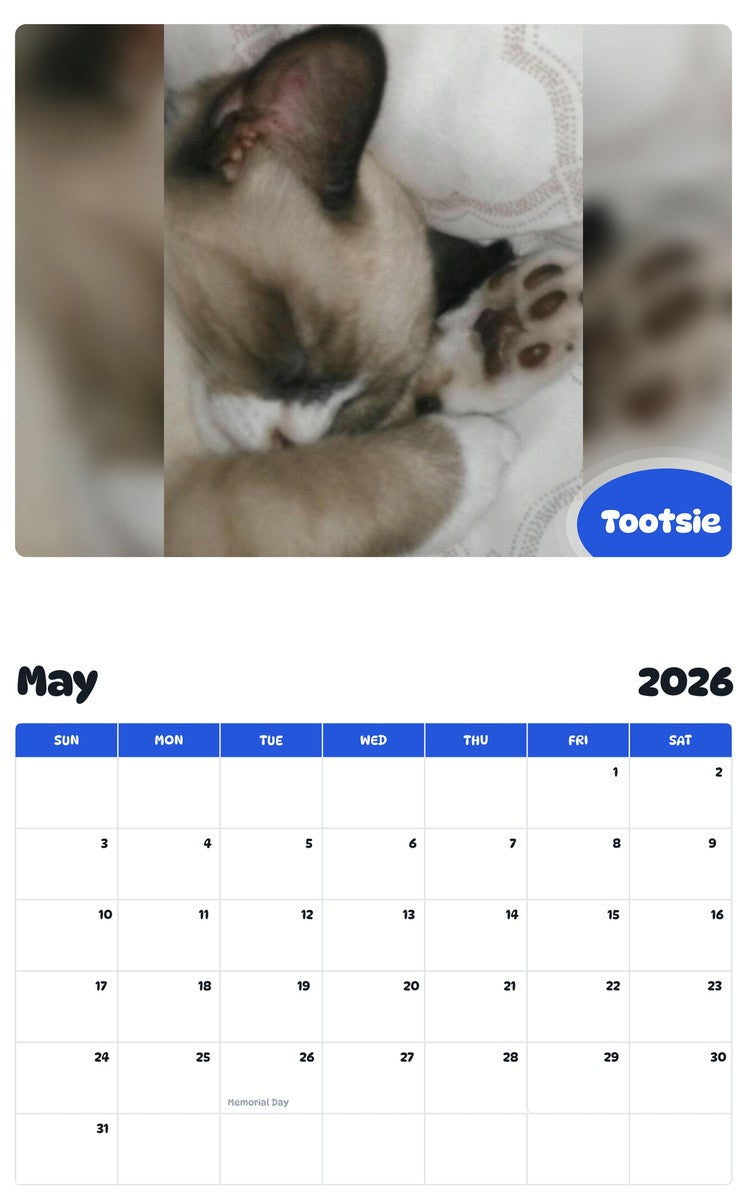 2026 - 2027 Tootsie - Pawidols Pet Calendar