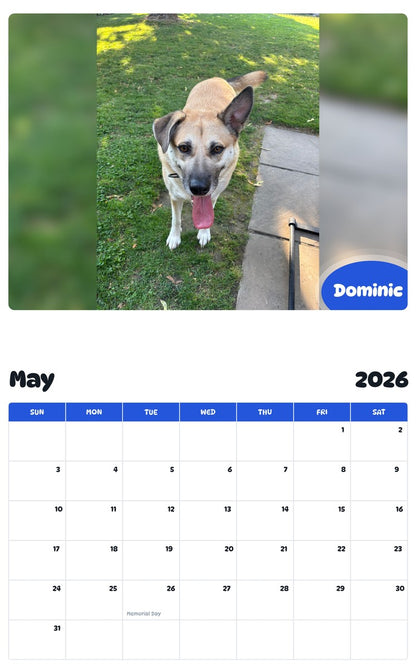 2026 - 2027 Dominic - Pawidols Pet Calendar