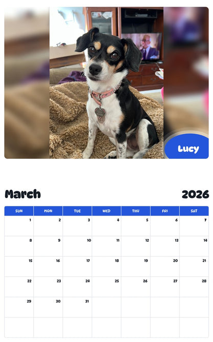 November 2025 - October 2026 Lucy - Pawidols Pet Calendar