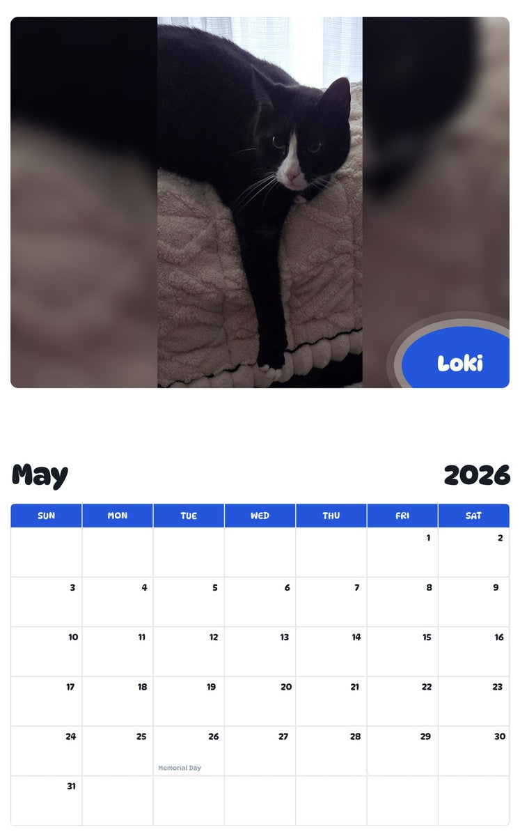 2026 - 2027 Loki - Pawidols Pet Calendar