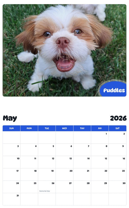 2026 - 2027 Puddles - Pawidols Pet Calendar