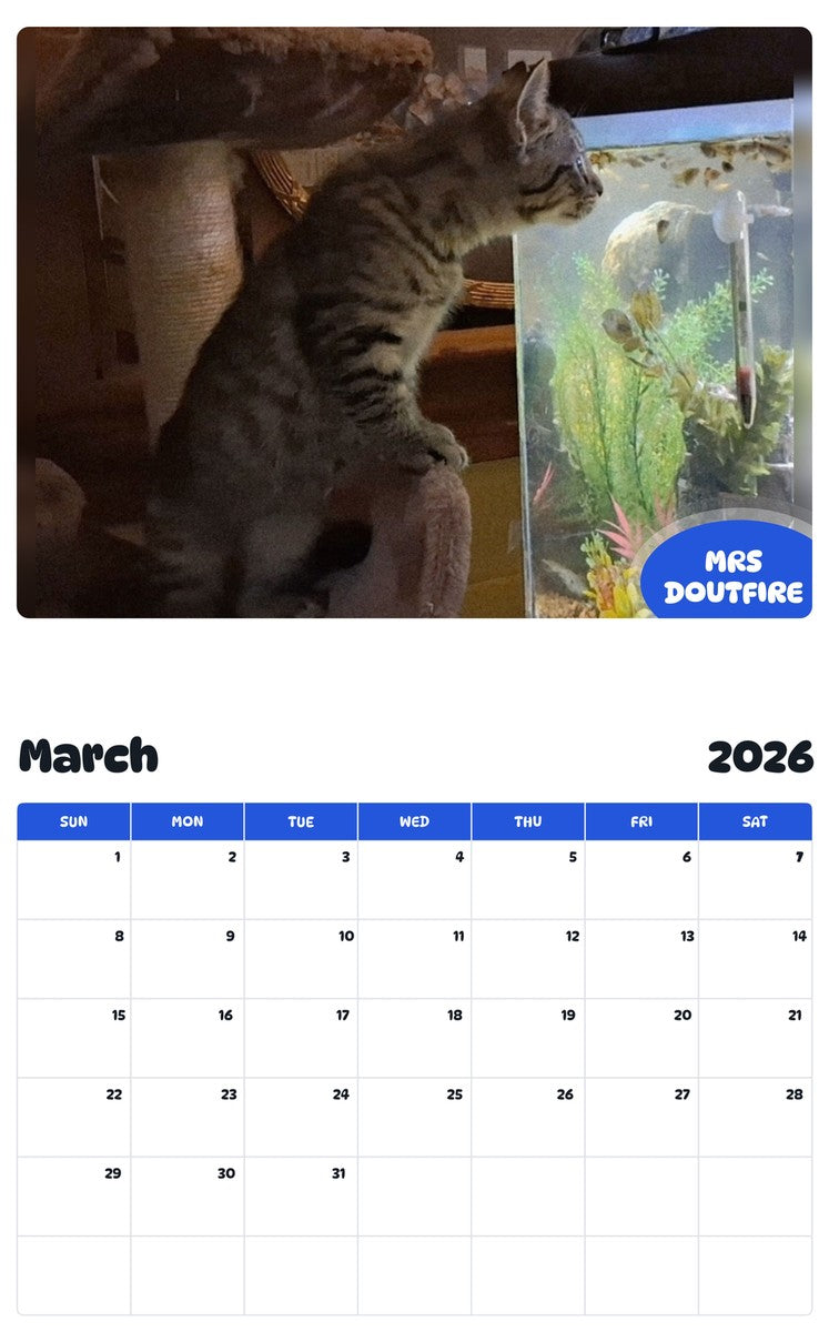 November 2025 - October 2026 MRS DOUTFIRE - Pawidols Pet Calendar