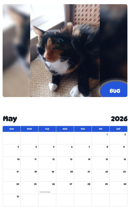 2026 - 2027 BUG - Pawidols Pet Calendar