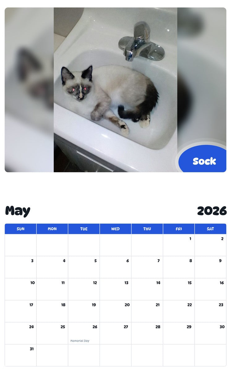 2026 - 2027 Sock - Pawidols Pet Calendar