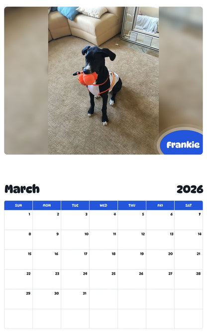 November 2025 - October 2026 Frankie - Pawidols Pet Calendar