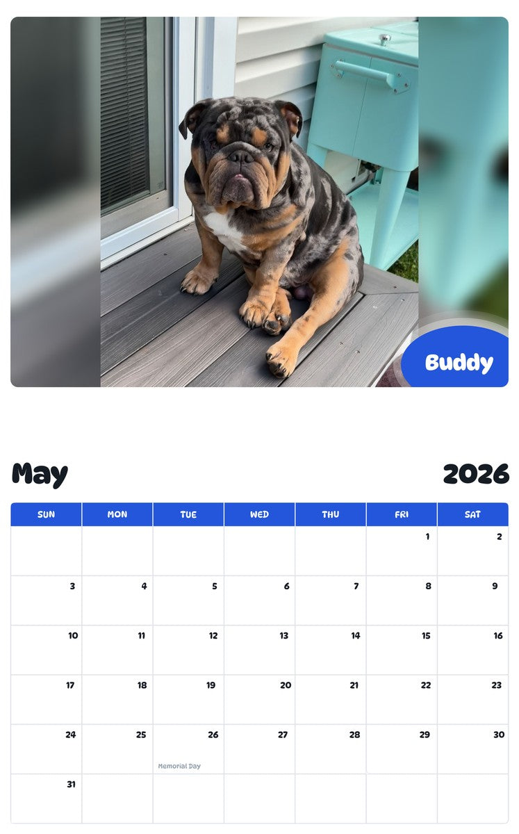 2026 - 2027 Buddy - Pawidols Pet Calendar