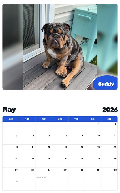 2026 - 2027 Buddy - Pawidols Pet Calendar