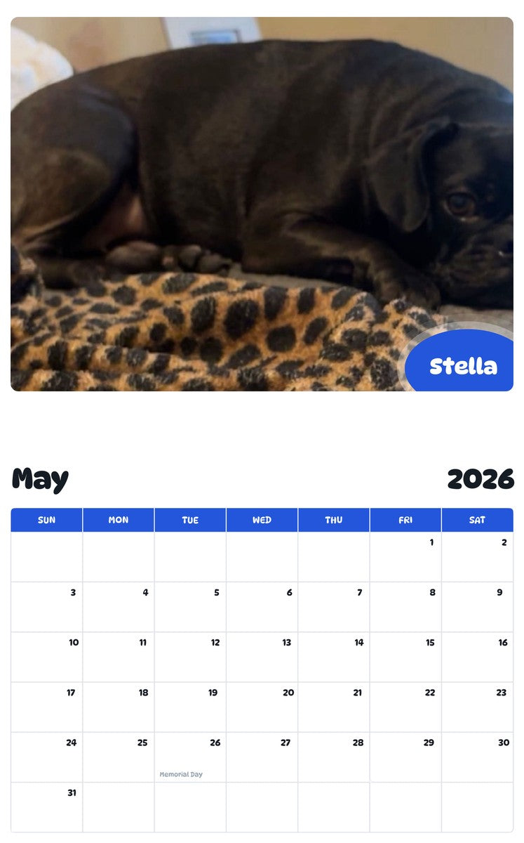 2026 - 2027 Stella - Pawidols Pet Calendar