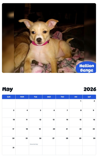 2026 - 2027 Hellion Benge - Pawidols Pet Calendar
