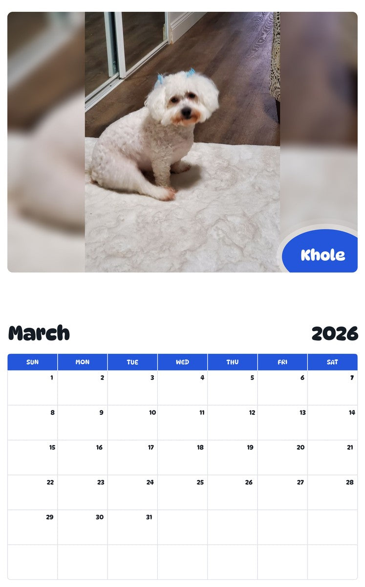 November 2025 - October 2026 Khole - Pawidols Pet Calendar