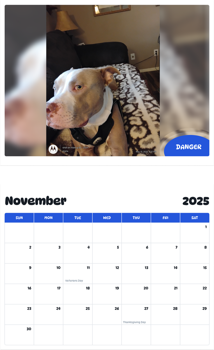 July 2025 - June 2026 Danger - Pawidols Pet Calendar