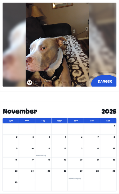 July 2025 - June 2026 Danger - Pawidols Pet Calendar