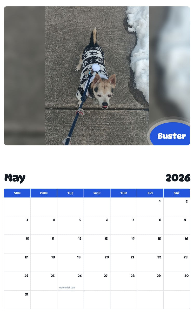 2026 - 2027 Buster - Pawidols Pet Calendar