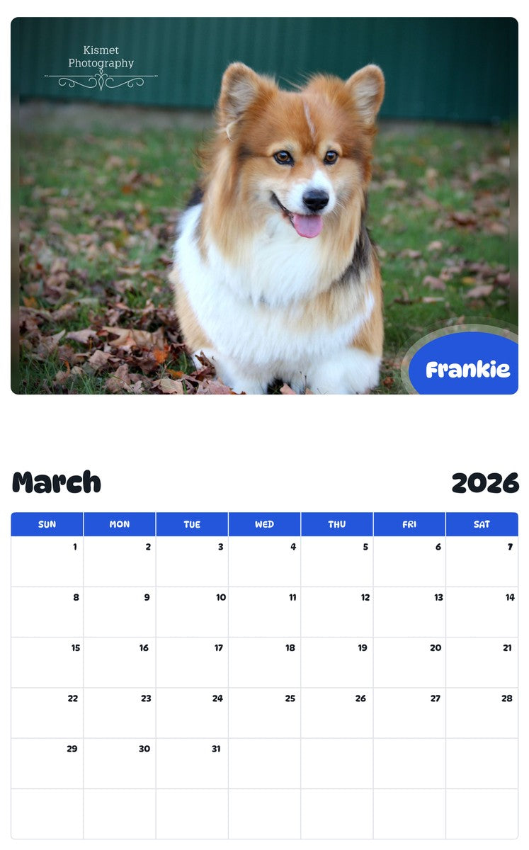 November 2025 - October 2026 Frankie - Pawidols Pet Calendar