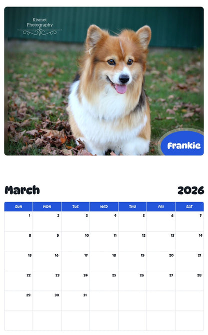 November 2025 - October 2026 Frankie - Pawidols Pet Calendar