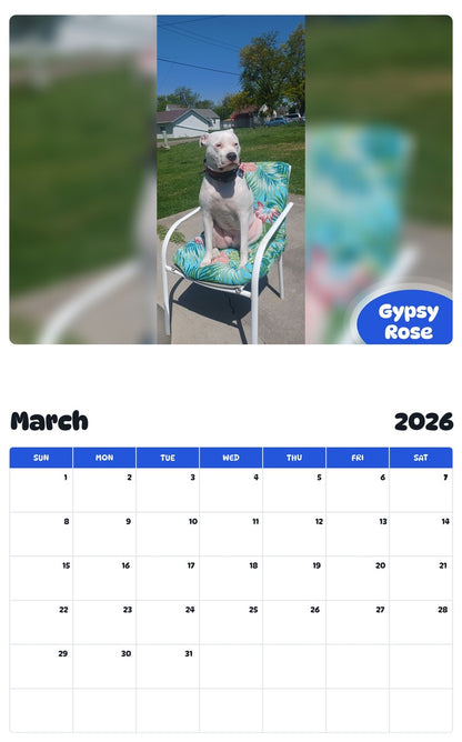 November 2025 - October 2026 Gypsy  Rose - Pawidols Pet Calendar