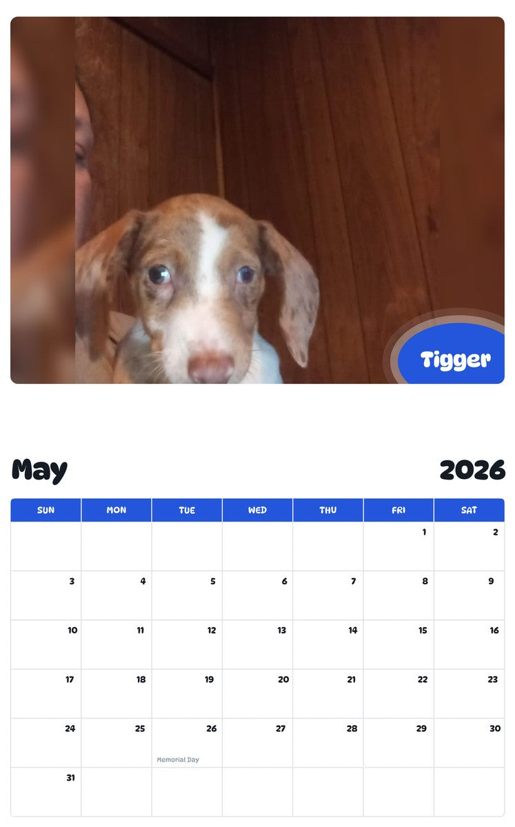 2026 - 2027 Tigger - Pawidols Pet Calendar