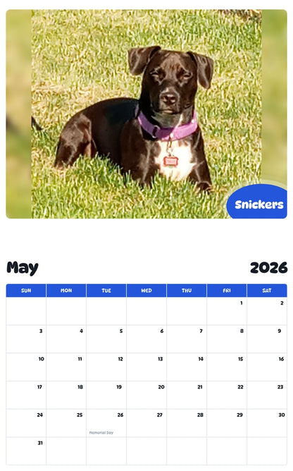 2026 - 2027 Snickers - Pawidols Pet Calendar
