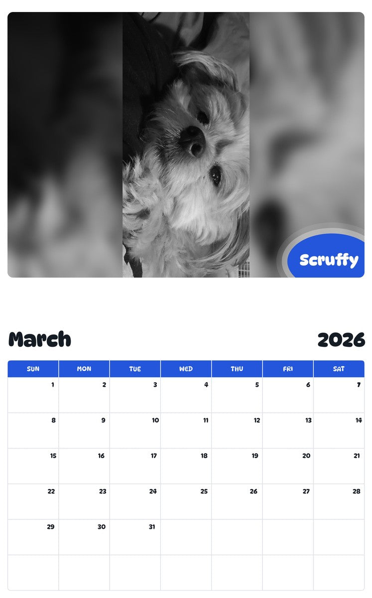 November 2025 - October 2026 Scruffy - Pawidols Pet Calendar