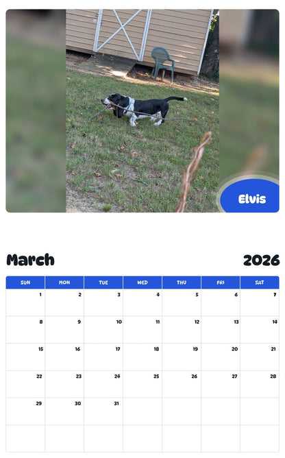 November 2025 - October 2026 Elvis - Pawidols Pet Calendar