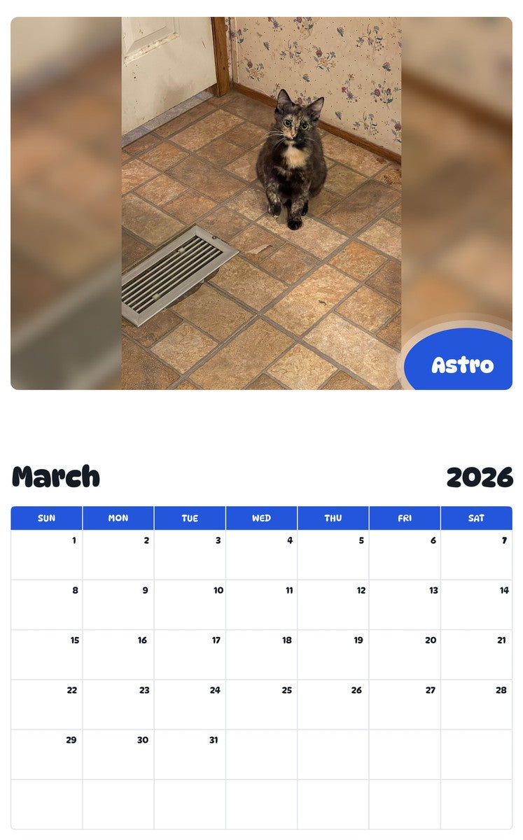 November 2025 - October 2026 Astro - Pawidols Pet Calendar