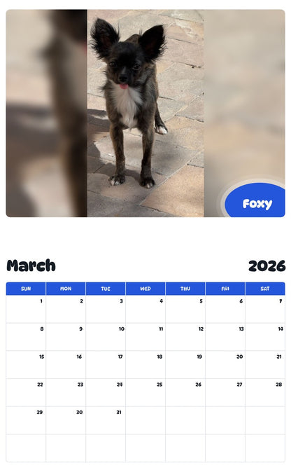 November 2025 - October 2026 Foxy - Pawidols Pet Calendar