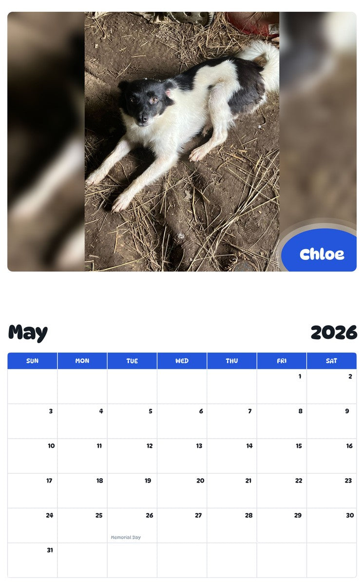 2026 - 2027 Chloe - Pawidols Pet Calendar