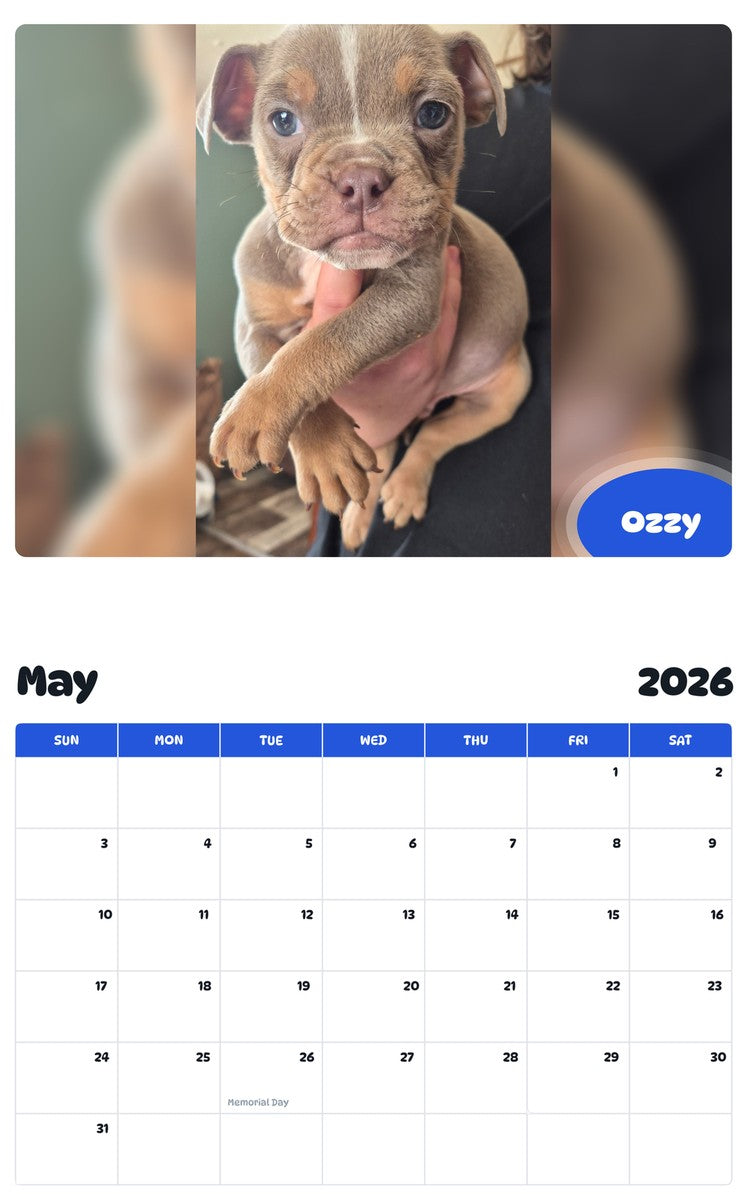 2026 - 2027 Ozzy - Pawidols Pet Calendar