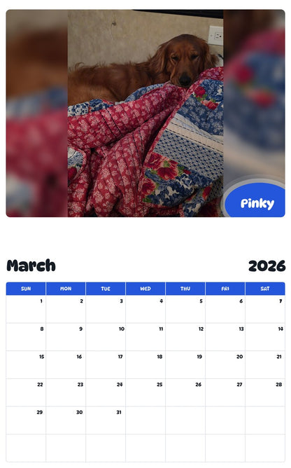 November 2025 - October 2026 Pinky - Pawidols Pet Calendar