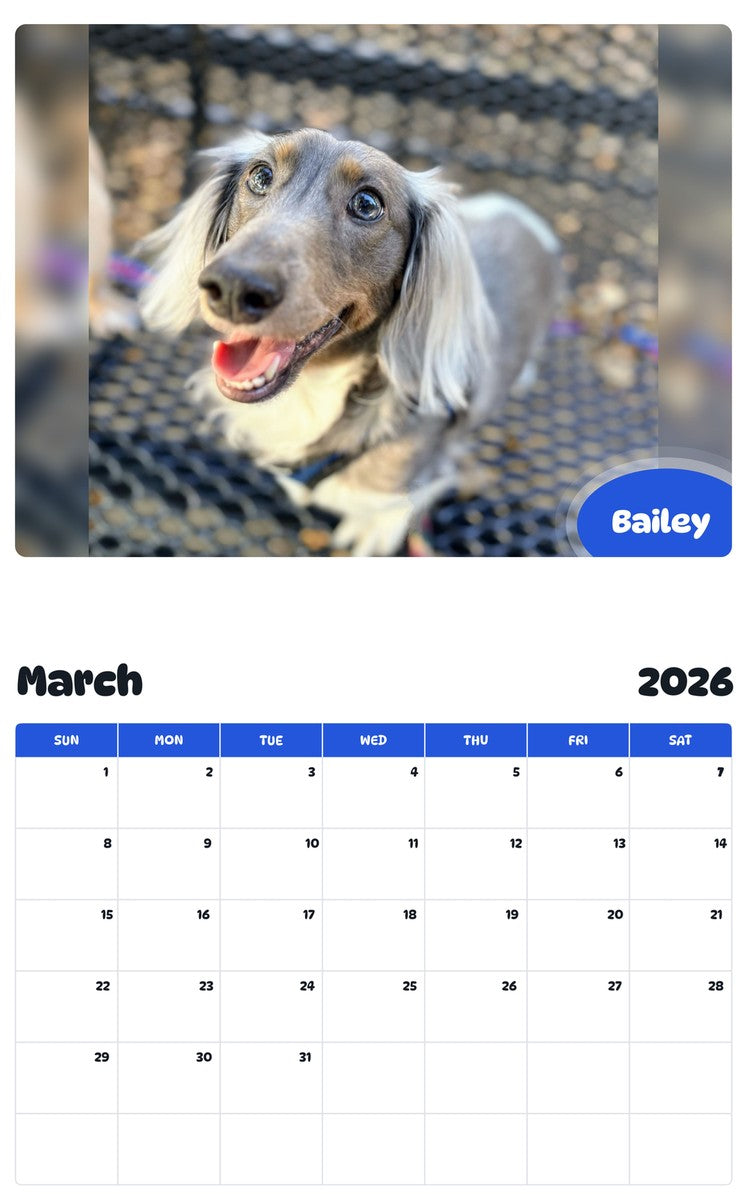 November 2025 - October 2026 Bailey - Pawidols Pet Calendar