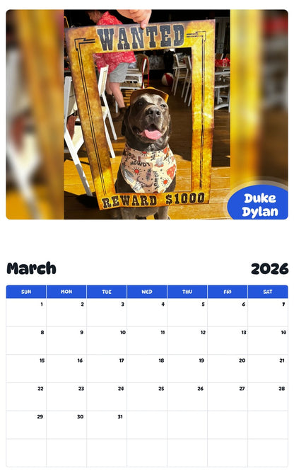 November 2025 - October 2026 Duke Dylan - Pawidols Pet Calendar