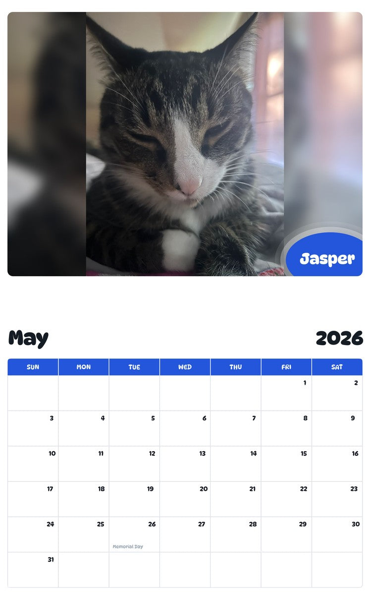 2026 - 2027 Jasper - Pawidols Pet Calendar