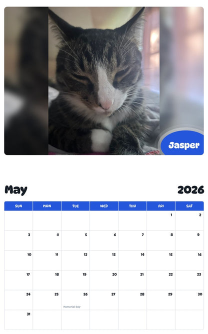 2026 - 2027 Jasper - Pawidols Pet Calendar