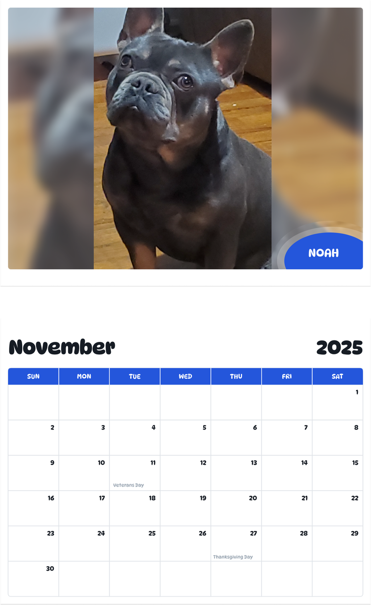 July 2025 - June 2026 Noah - Pawidols Pet Calendar