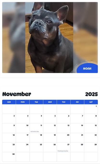 July 2025 - June 2026 Noah - Pawidols Pet Calendar