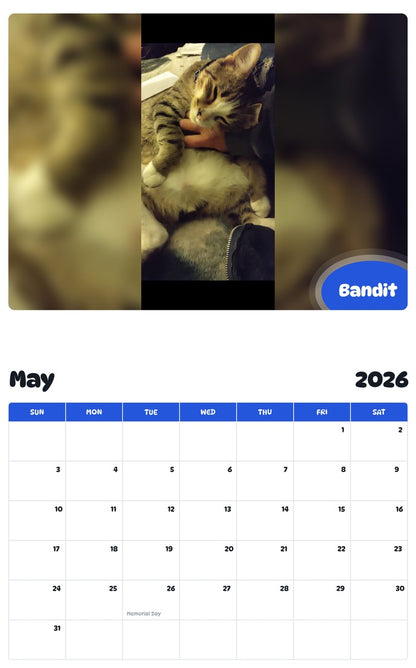 2026 - 2027 Bandit - Pawidols Pet Calendar