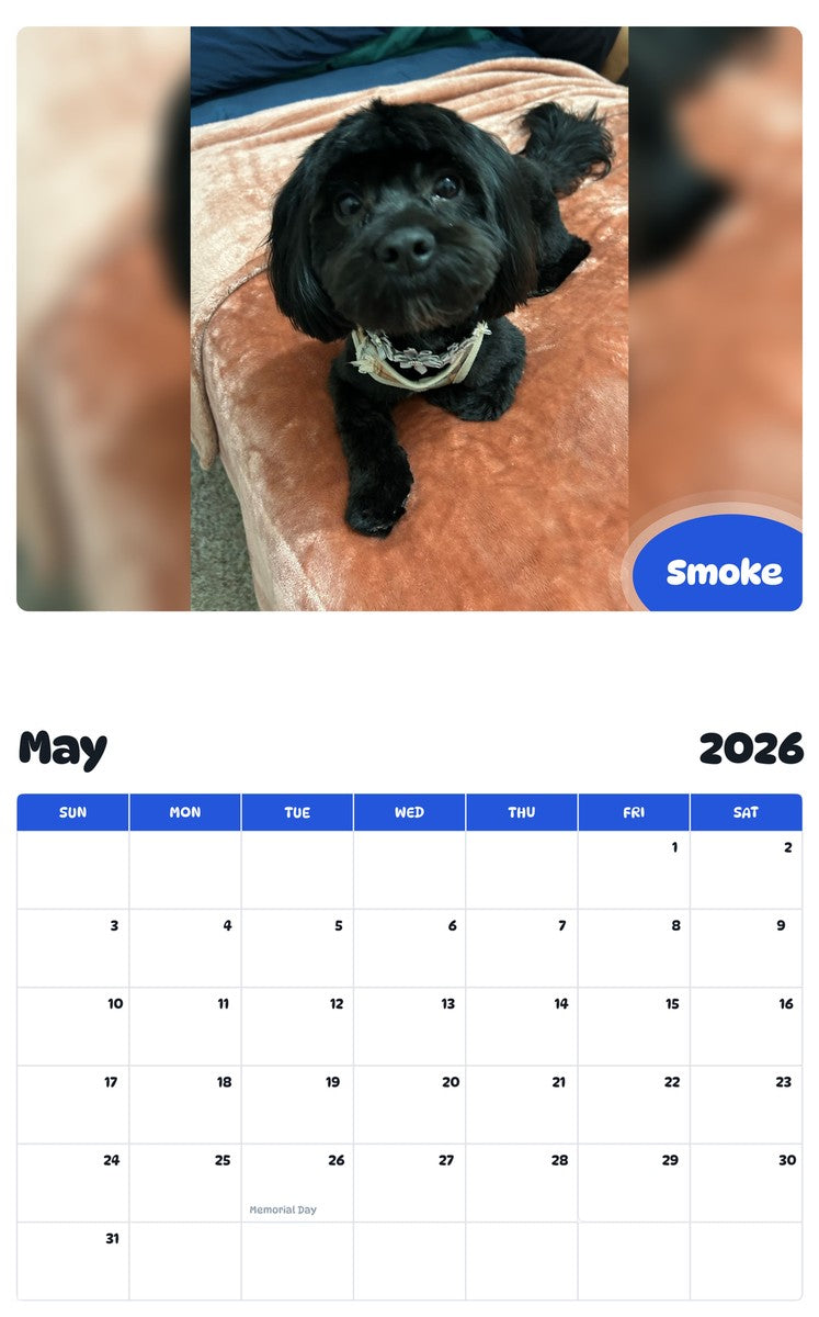 2026 - 2027 Smoke - Pawidols Pet Calendar