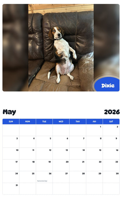 2026 - 2027 Dixie - Pawidols Pet Calendar