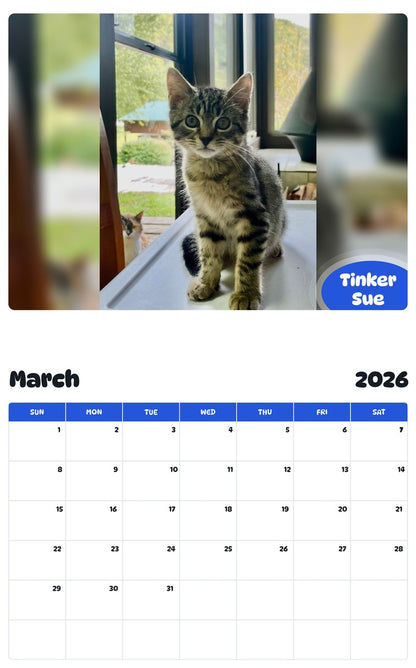 November 2025 - October 2026 Tinker Sue - Pawidols Pet Calendar