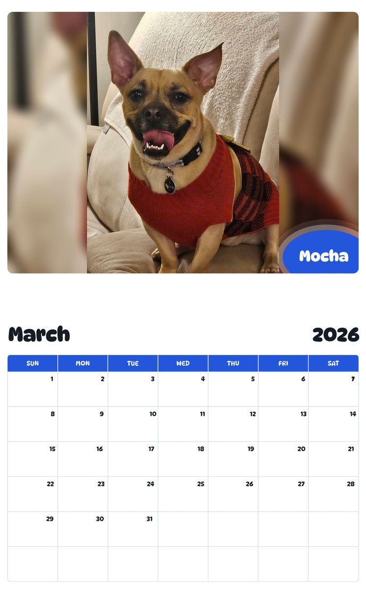 November 2025 - October 2026 Mocha - Pawidols Pet Calendar