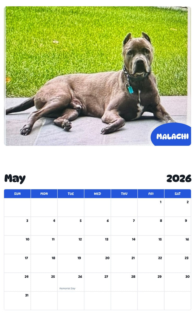 2026 - 2027 MALACHI - Pawidols Pet Calendar