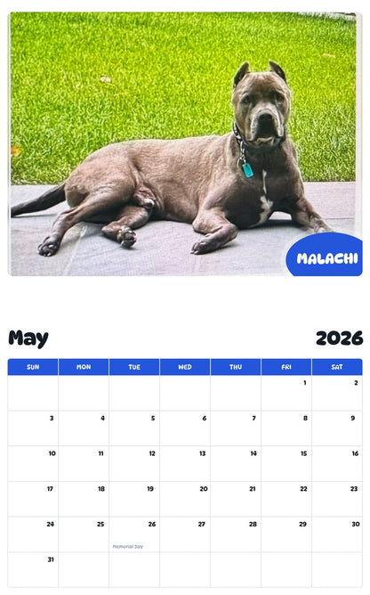 2026 - 2027 MALACHI - Pawidols Pet Calendar
