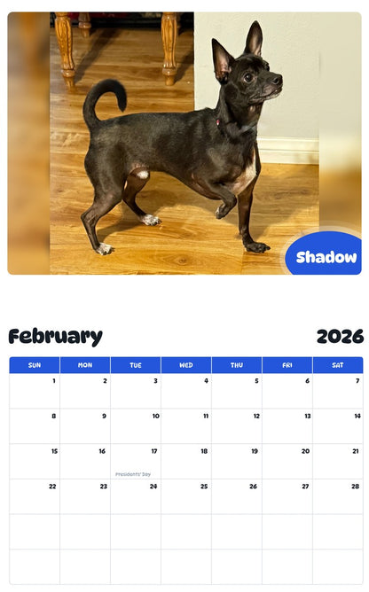 November 2025 - October 2026 Shadow - Pawidols Pet Calendar