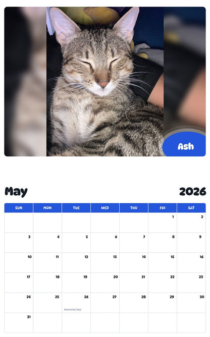 2026 - 2027 Ash - Pawidols Pet Calendar